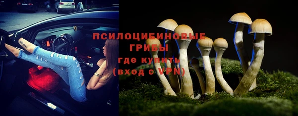 мдма Осинники