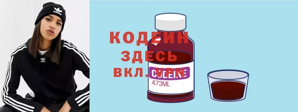 гашик Осташков