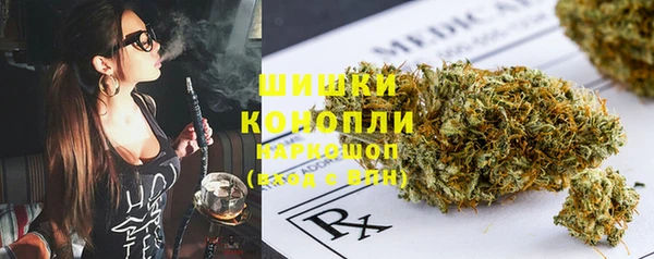 гашик Осташков