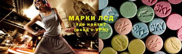 гашик Осташков