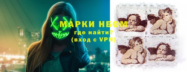 гашик Осташков